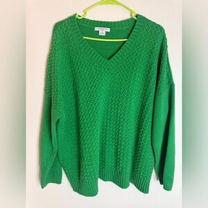 Liz Claiborne Vibrant Green V-Neck Sweater
Pit to Pit 29’ stretch length 28’